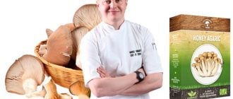 Mushrooms Farm домашнее выращивание грибов: сделайте рацион своей семьи вкуснее и полезнее!