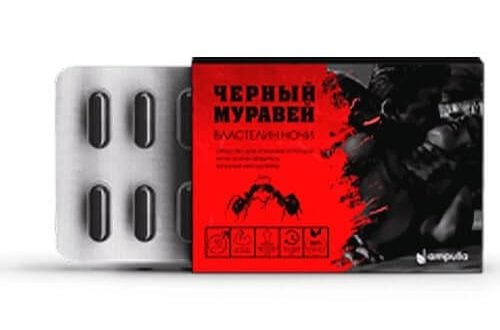 Черный муравей